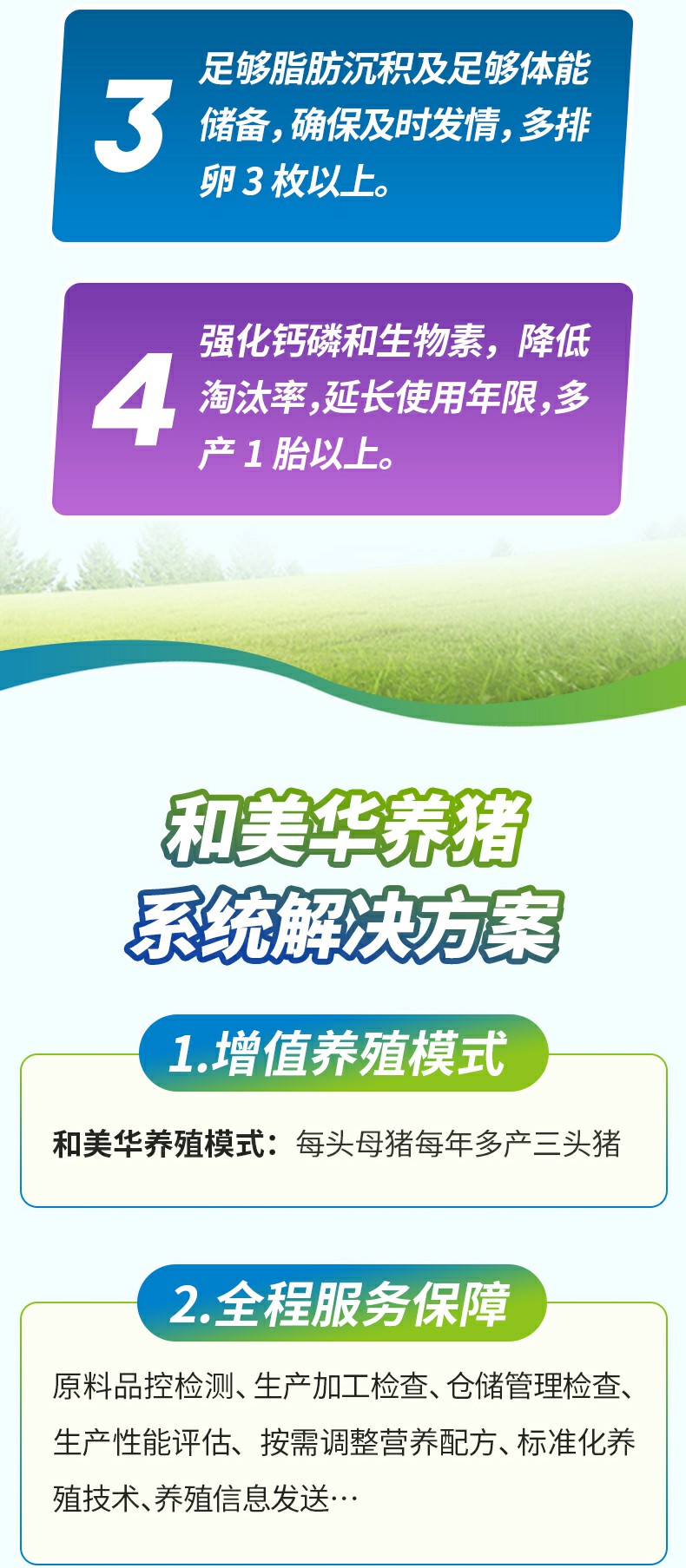 后备佳8% 