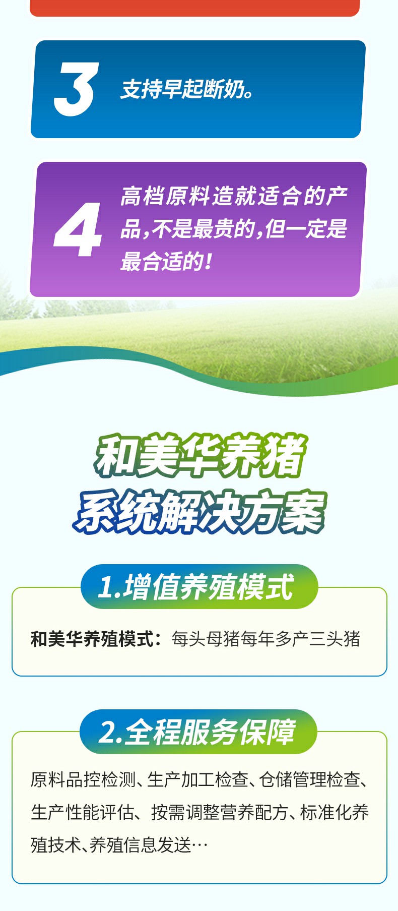 黄金乳