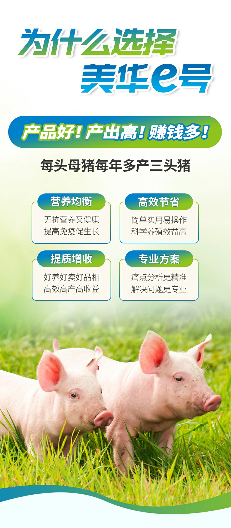 泌乳多8% 