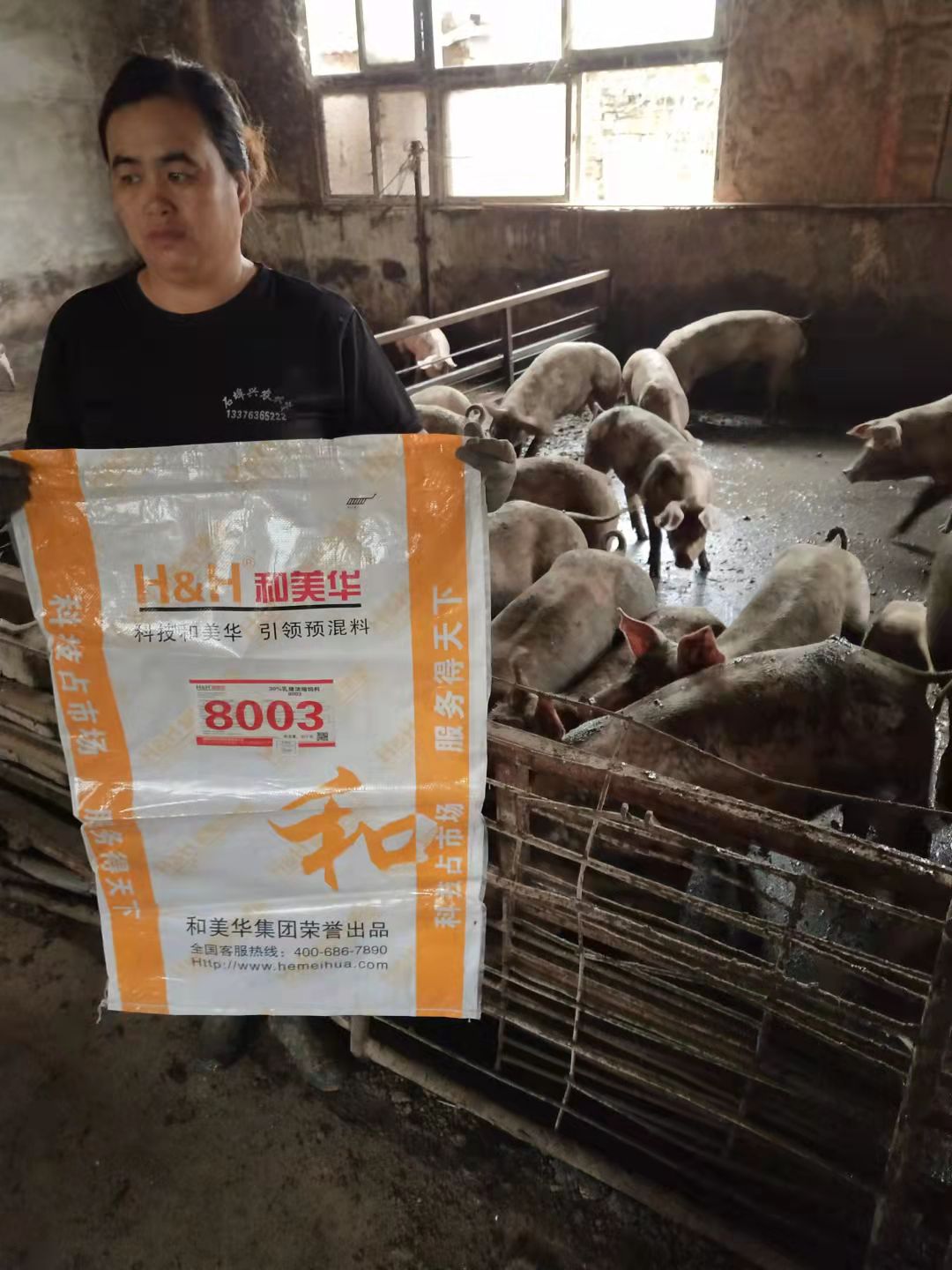 黑龙江佳木斯某养猪场客户见证实录