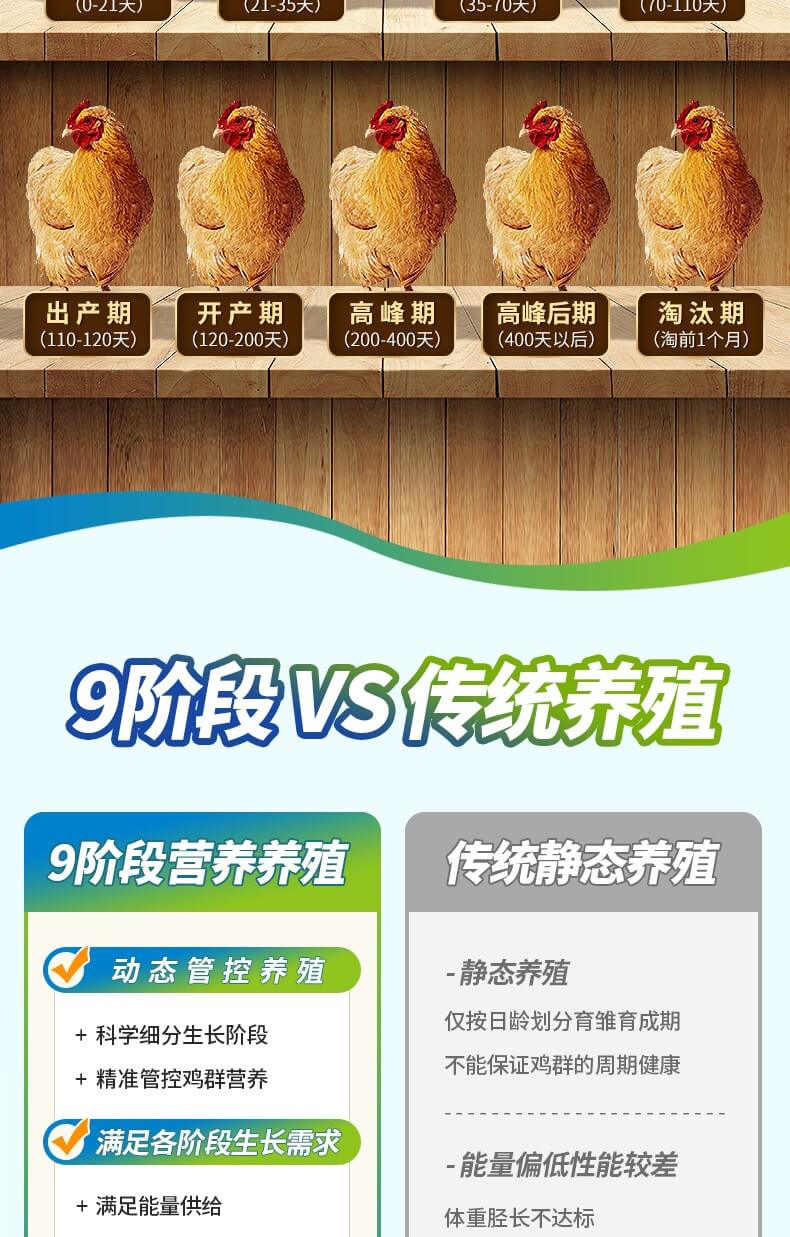 雏禽旺