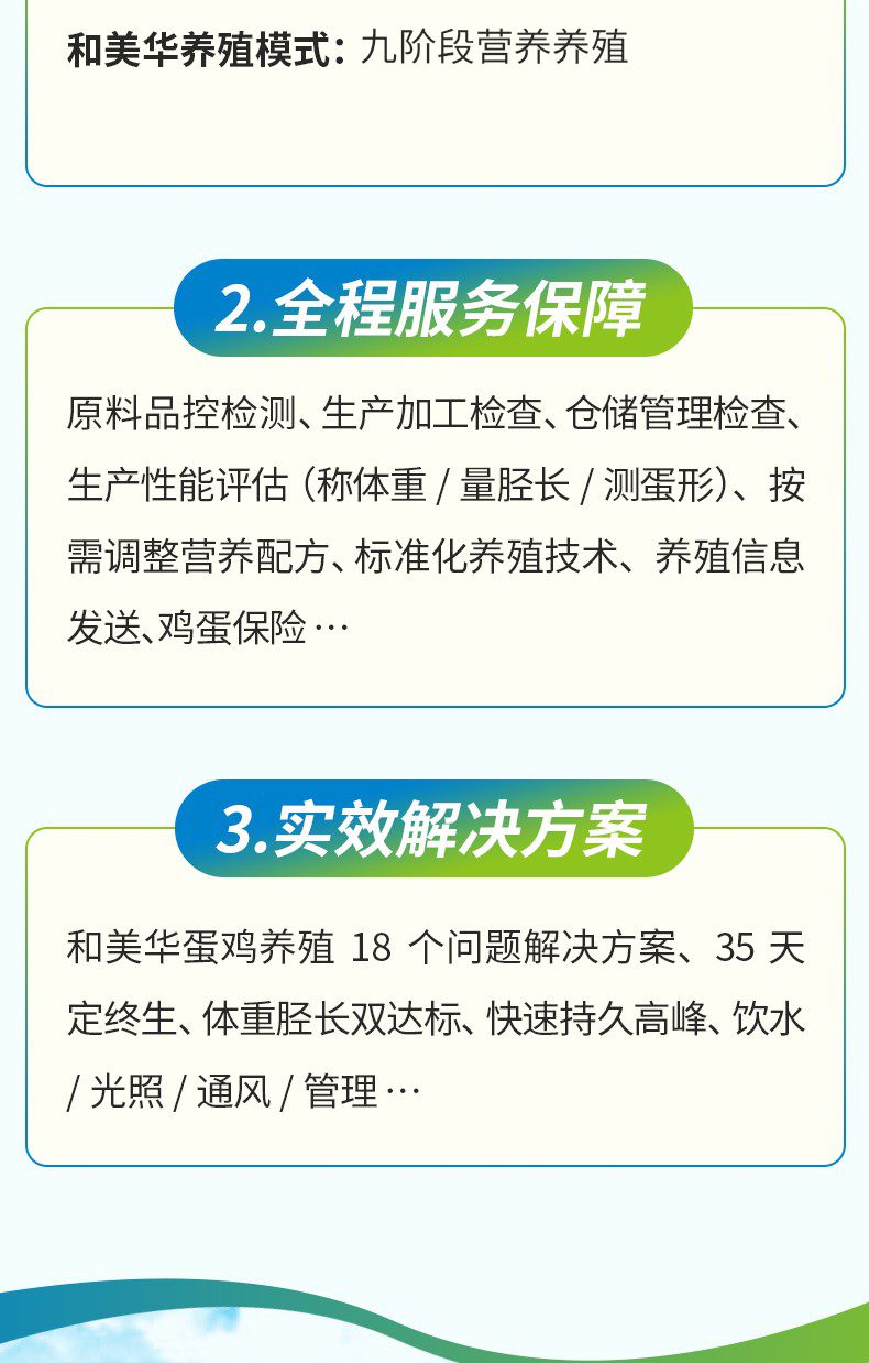 2%夏    美