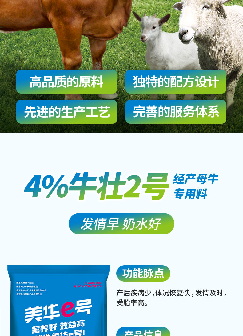 4%牛壮2号 