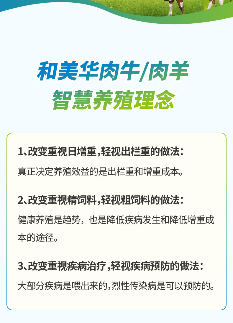4%羊康2号 